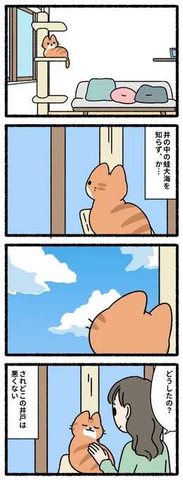 井の中の蛙大海を知らずな猫 #猫の昔話 