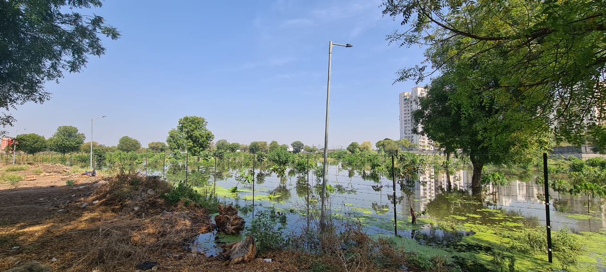 bhaveshdotlive's tweet photo. @AmitShah @AmitShahOffice @CMOGuj @Bhupendrapbjp Respected we request you take 
urgent actions on this. Save environment, save Shantigram, and prevent us from suffering of 
dengue malaria. Jaspur STP overflowed and created an unhygienic lake where ECO park is 
planned. #Adani https://t.co/dSFF0lOqzr