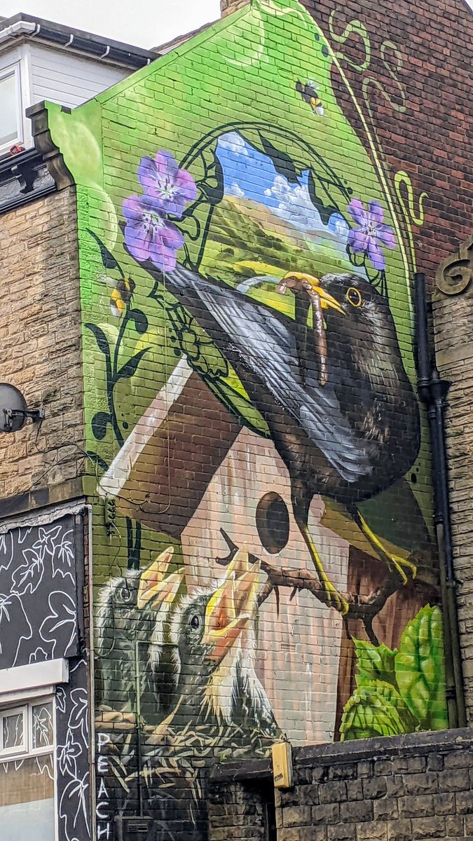 In West Sheffield we are very proud of our many artists and makers. Here's the latest piece of fabulous street art by Peachez.