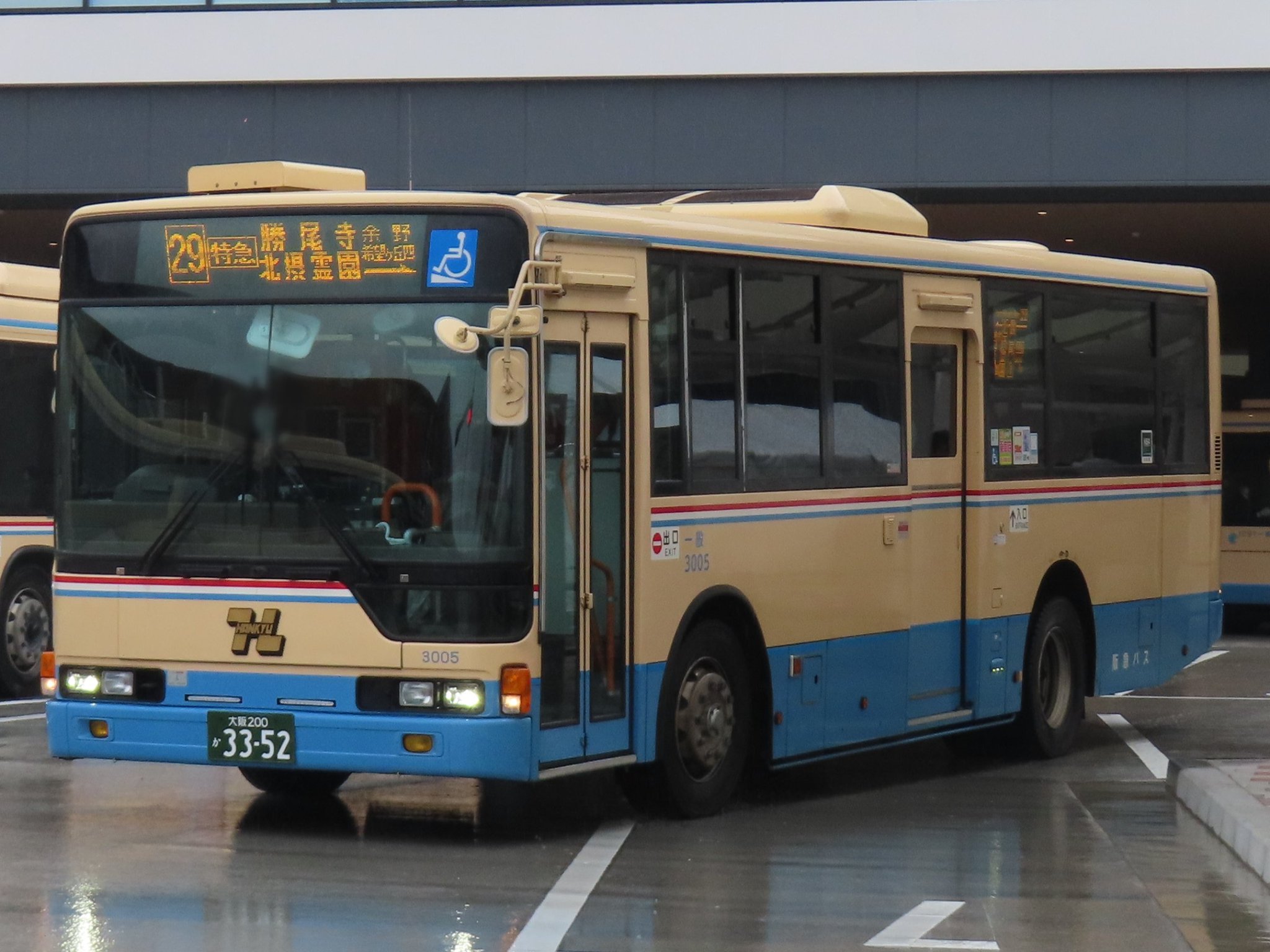 信州産百合の球根二色二、三球宅急便コンパクト