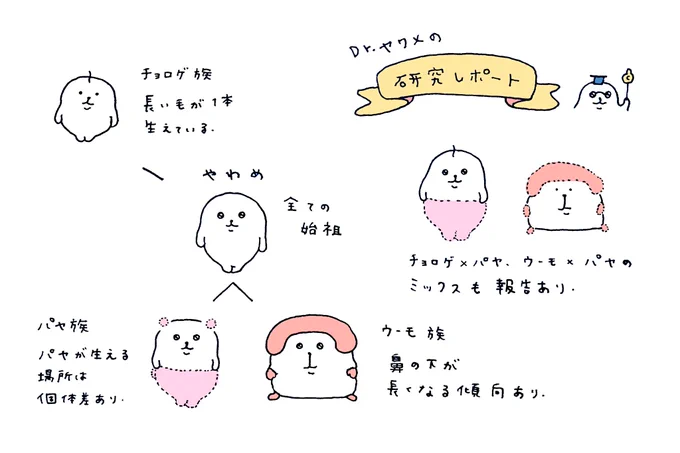 生態 