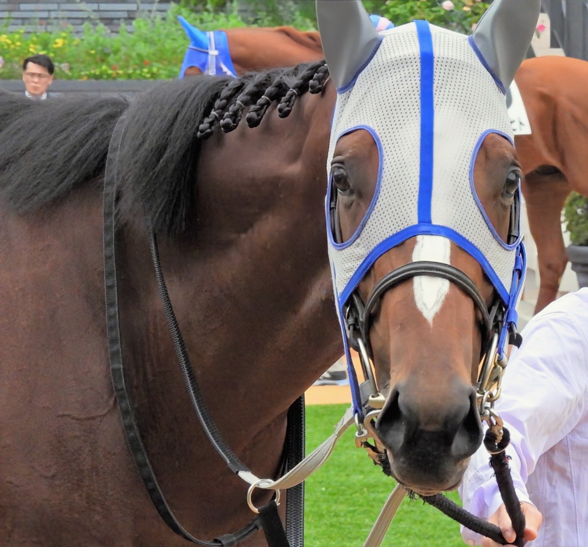 メイショウタバル lang:ja since:2024-03-23_00:00:00_JST until:2024