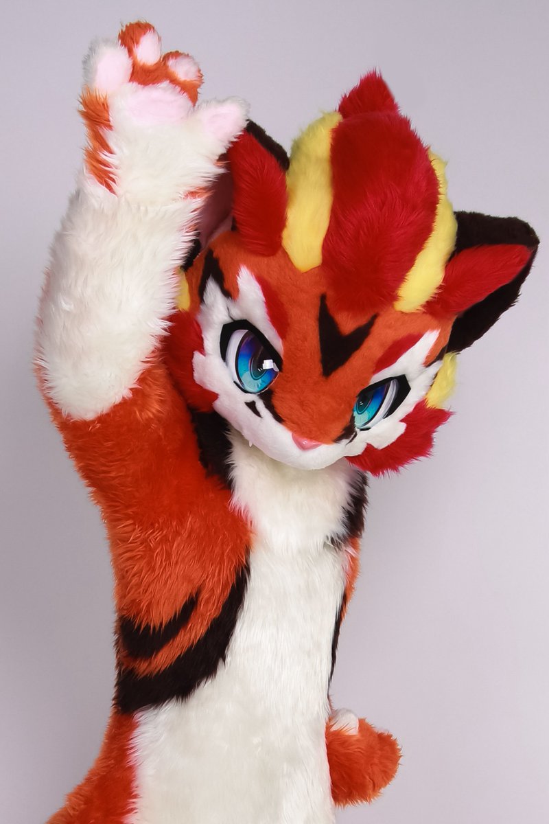 yangyu312's tweet photo. #ATOAMA2024 
#FursuitFriday 
#fursuit #FursuitEveryday
酷酷的🐯来咯！🥰 https://t.co/yZ0Me8wIvI