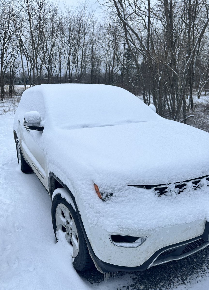 OTTCAPLAX tweet media