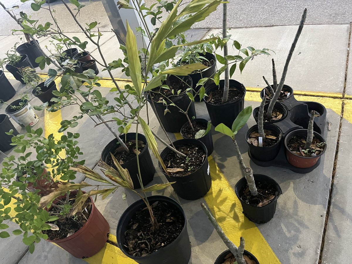 Come check out our plant sale this morning at <a href="/HCPSLavoyEx/">LaVoy Exceptional Center</a>