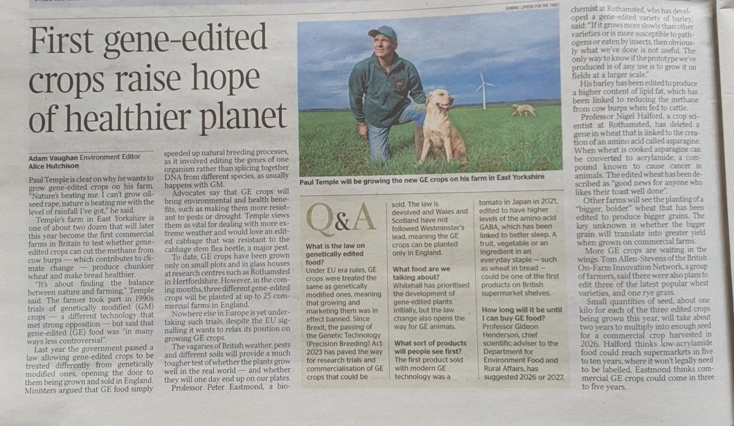Thank you @adamvaughan_uk for this article in @thetimes explaining the @bofinfarmers trials of GE crops with @Rothamsted @Halford1Nigel & @JohnInnesCentre @CristobalUauy & to @PaulWoldfarm & his dogs! To clarify, the GE crops wont be grown on commercial farms till 2025/26 season