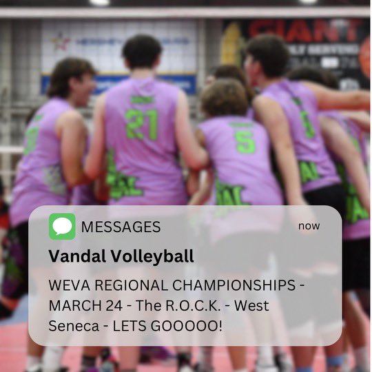 Vandal Volleyball (@vandalvball) on Twitter photo 