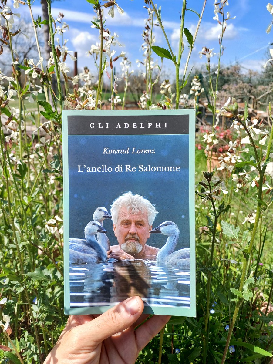 Nuova lettura #lanellodisalomone #konradlorenz @adelphiedizioni cultura scientifica e l'affascinante mondo animale e vegetale con gli occhi di un naturalista