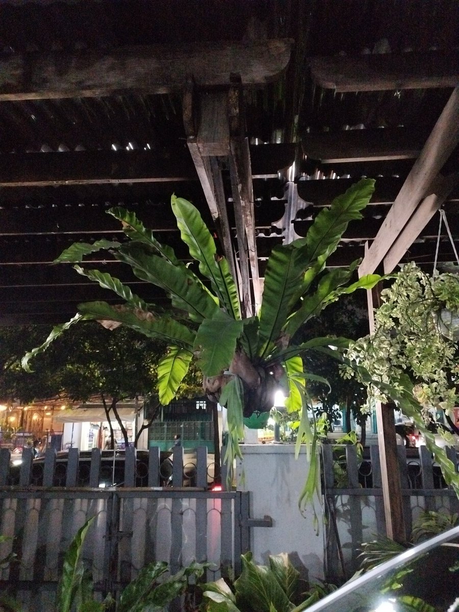 BagusAbeL's tweet photo. @bayufwiranda Kalau ini sama ga sih? Ini lebih seger. Wah 10.5 jt yak... Emm haha.. https://t.co/CXddQ6GDnP