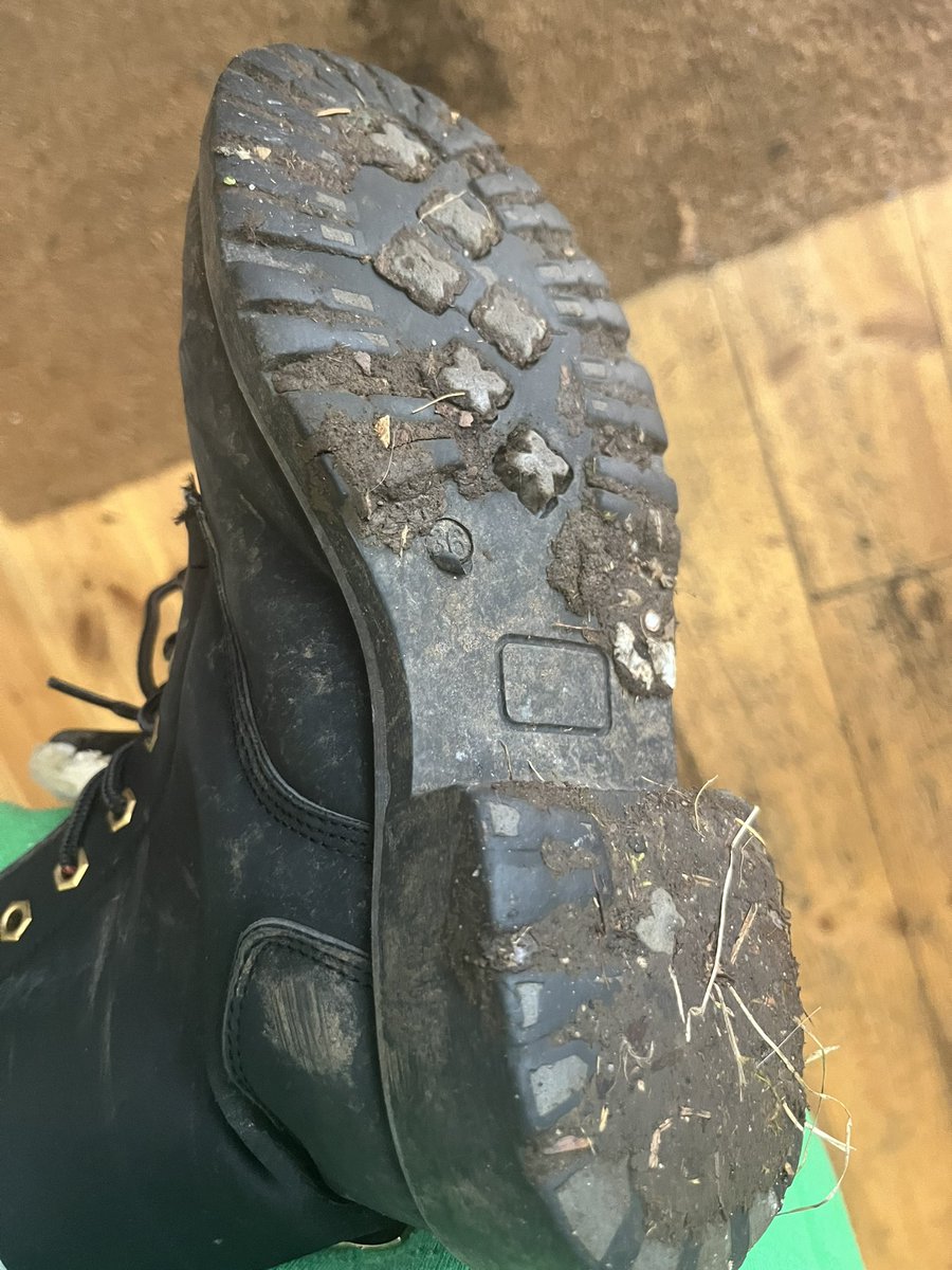 Gartenarbeit ist erledigt. Du Loser bist noch weniger WERT als der DRECK unter meiner Schuhsohle.
Antreten zum sauber lecken und ABDRÜCKEN!!!

#findom #zahlschwein #geldherrin #loser #domsub