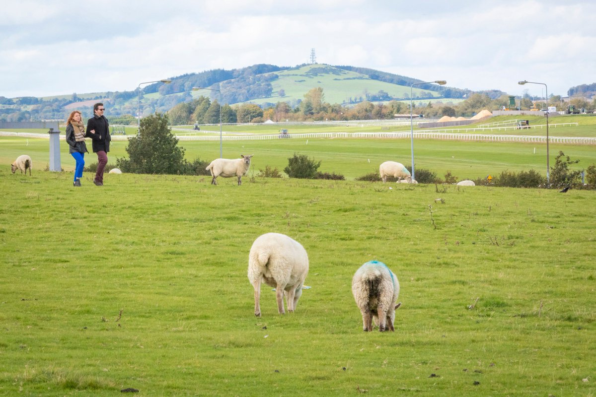 As the largest town in Kildare, Newbridge has a lot to offer! Take in a show at the Riverbank Arts Centre, pick up a special trinket in the famous Newbridge Silverware or take in a hard fought GAA match 💪 #IntoKildare