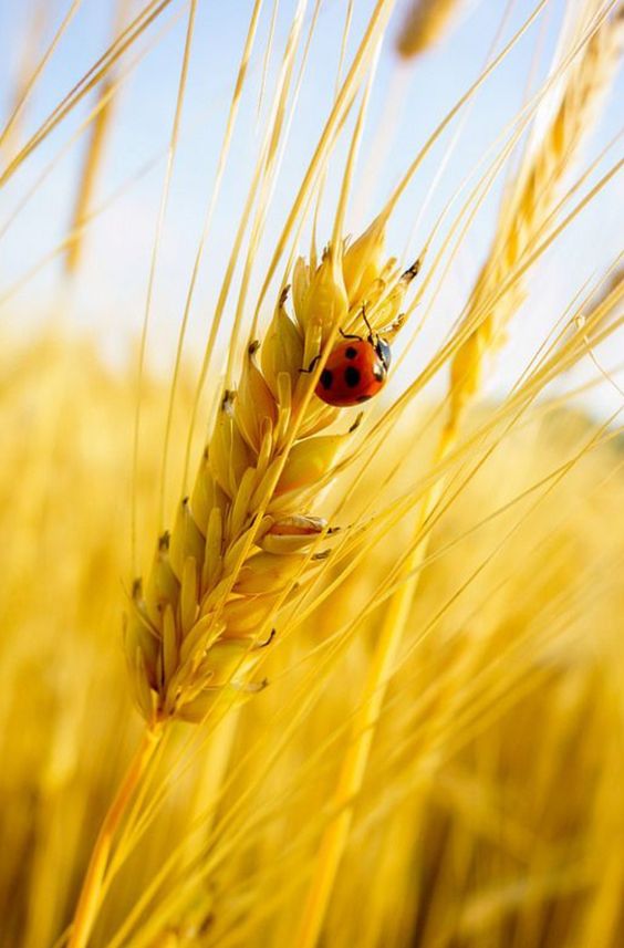 3월 23일... 3월도 다 가네...