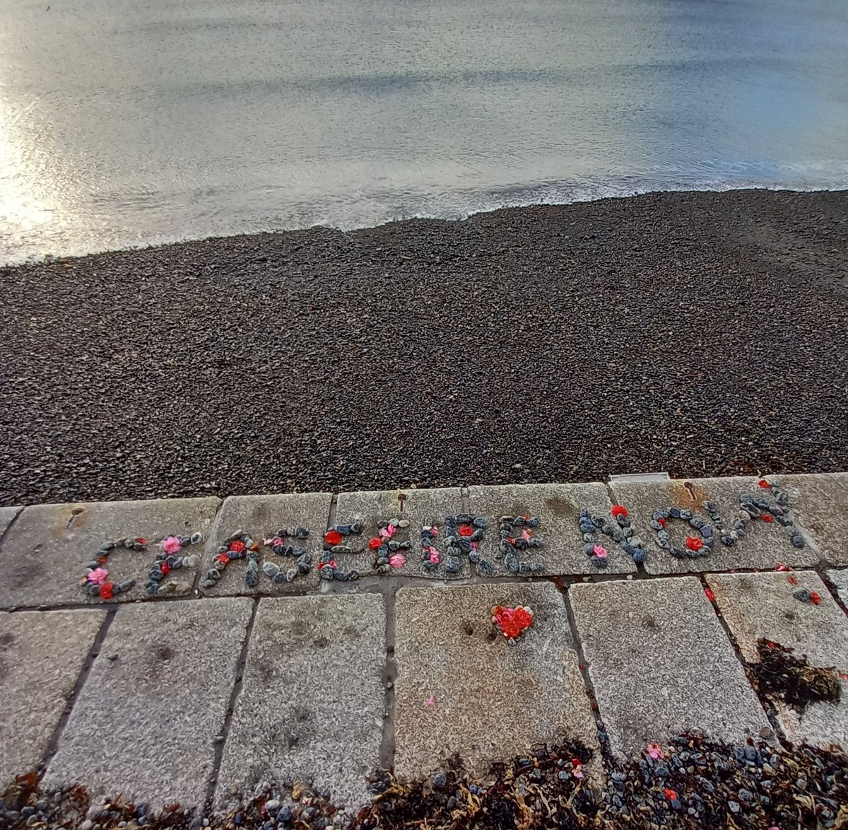 Ceasefire Now along Penzance prom, with flowers, from the wonderful @Seasoulblessing