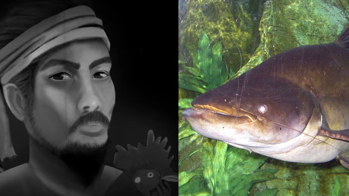 "Sumpahan Ikan Tapah Keturunan Pak Kaduk."

Ada seorang kawan saya yang risau sangat nak makan Ikan Tapah. Sebabnya keturunan dia berasal dari Perak. Saya pun cari keturunan mana yang tak boleh makan ikan ni. Rupanya keturunan Pak Kaduk.