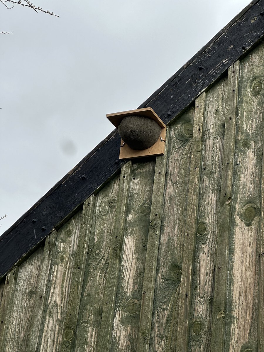 The shed is now swallow ready, or at least swallow hopeful. Not sure about the placement. And it has just started hailing.