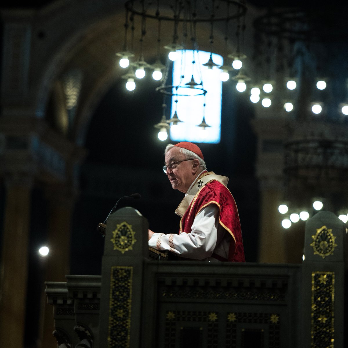 'My dear friends, let this Holy Week be a time in which we renew our thankfulness to God.' My homily for Palm Sunday, given at @WestminsterCath today, is now available on the diocesan website: rcdow.org.uk/cardinal/homil…