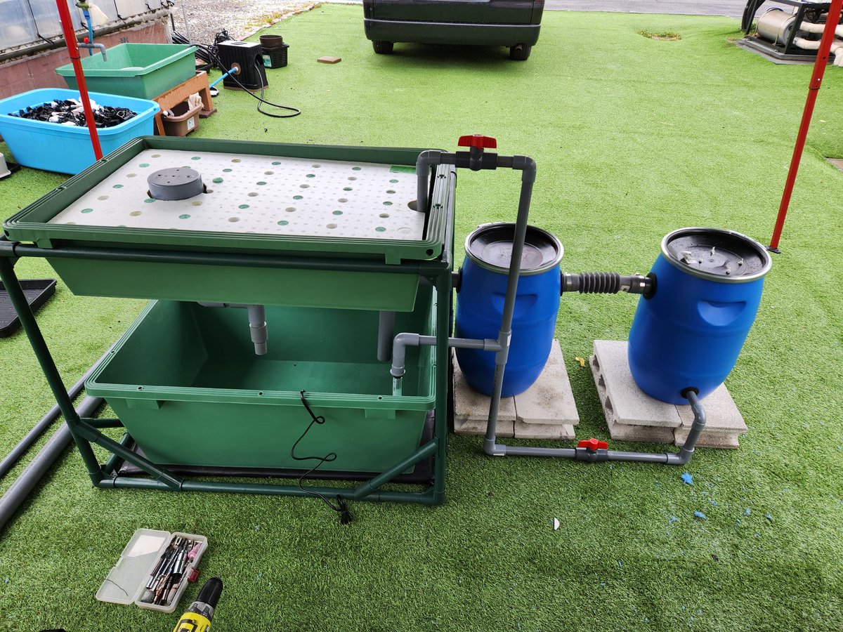 今月からアクアポニックスを学び始めました🥬🐟
今日は小さい規模のシステムを自分たちで1から施工しました🙌
実際に手を動かして作り上げる経験とても良い！
<a href="/aquponi/">アクポニ公式アカウント</a>