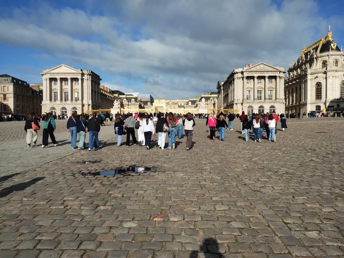 MFL Department tweet media