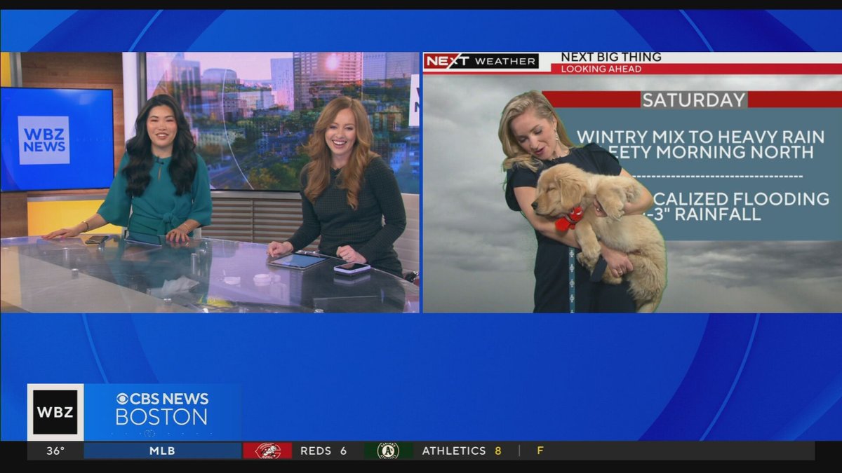 On National Puppy Day, we do the news & weather with a puppy! @LexieOConnorWX @TiffanyWBZ @wbz