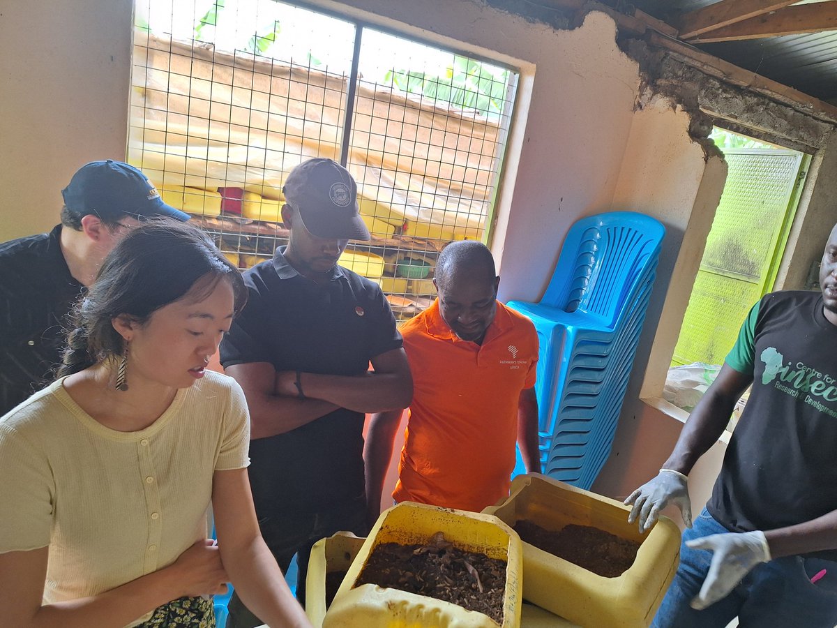 CIRD hosted a delegation from Pathways to hope Africa an NGO pathwaystohopeafrica.org and University of Calfornia (UC Davis ) agricultural research team who are here to assess the feasibility of BSF farming in rural communities.#usaidpeer #bsf #uganda #ClimateAction