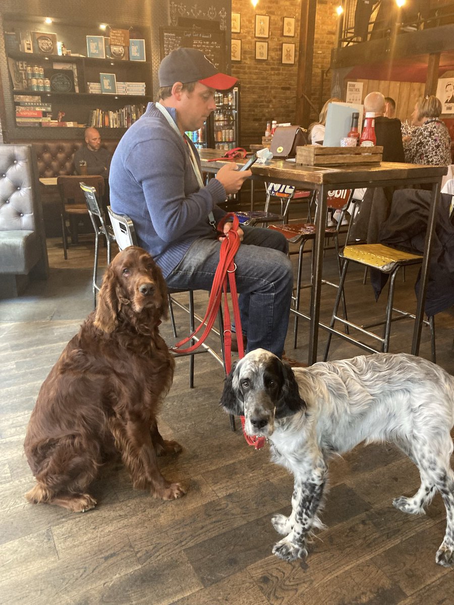 elizabeth james tweet media