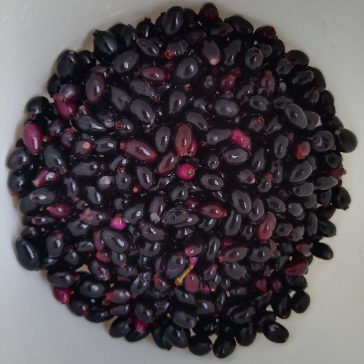 SabzerAzoh's tweet photo. This homemade non alcoholic wine of umNdoni iz good for cancer cells. This wine is rich in antioxidants such as resveratrol, quercetin, catechin and gallic acid which can destroy cancer cells. It can also improve the effectiveness of radiation. https://t.co/2qnP83MNvf
