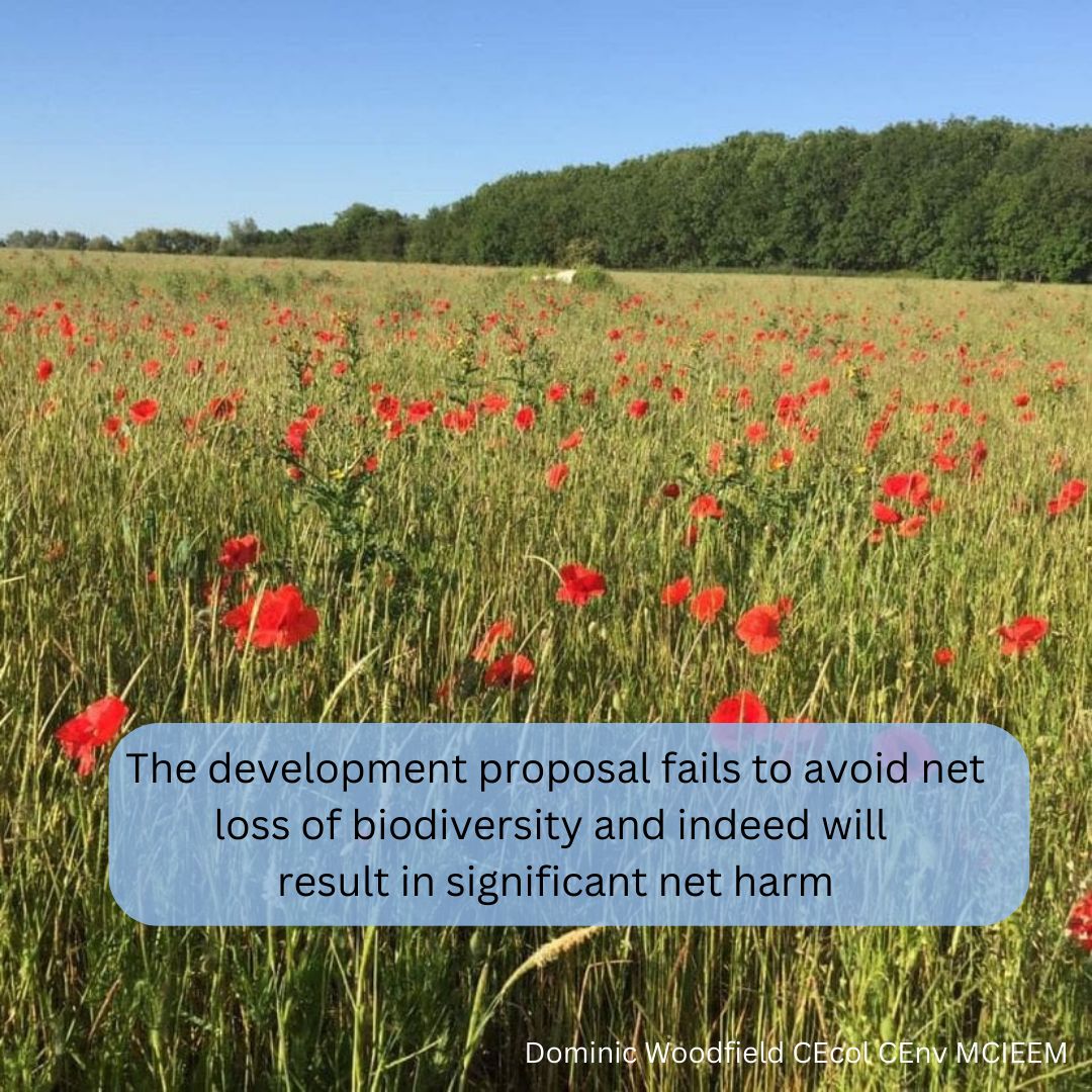 #rurallivesmatter #saveourcountryside #NoWarehouses #stopbuildingonfloodplains #BiodiversityMatters 
buff.ly/3ONfs2I