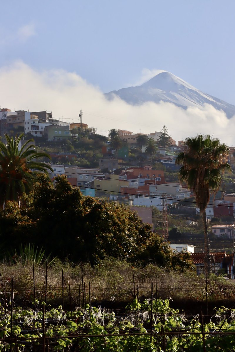 Mis vistas 😍😍 #SantaÚrsula #propiedascanary #Teide