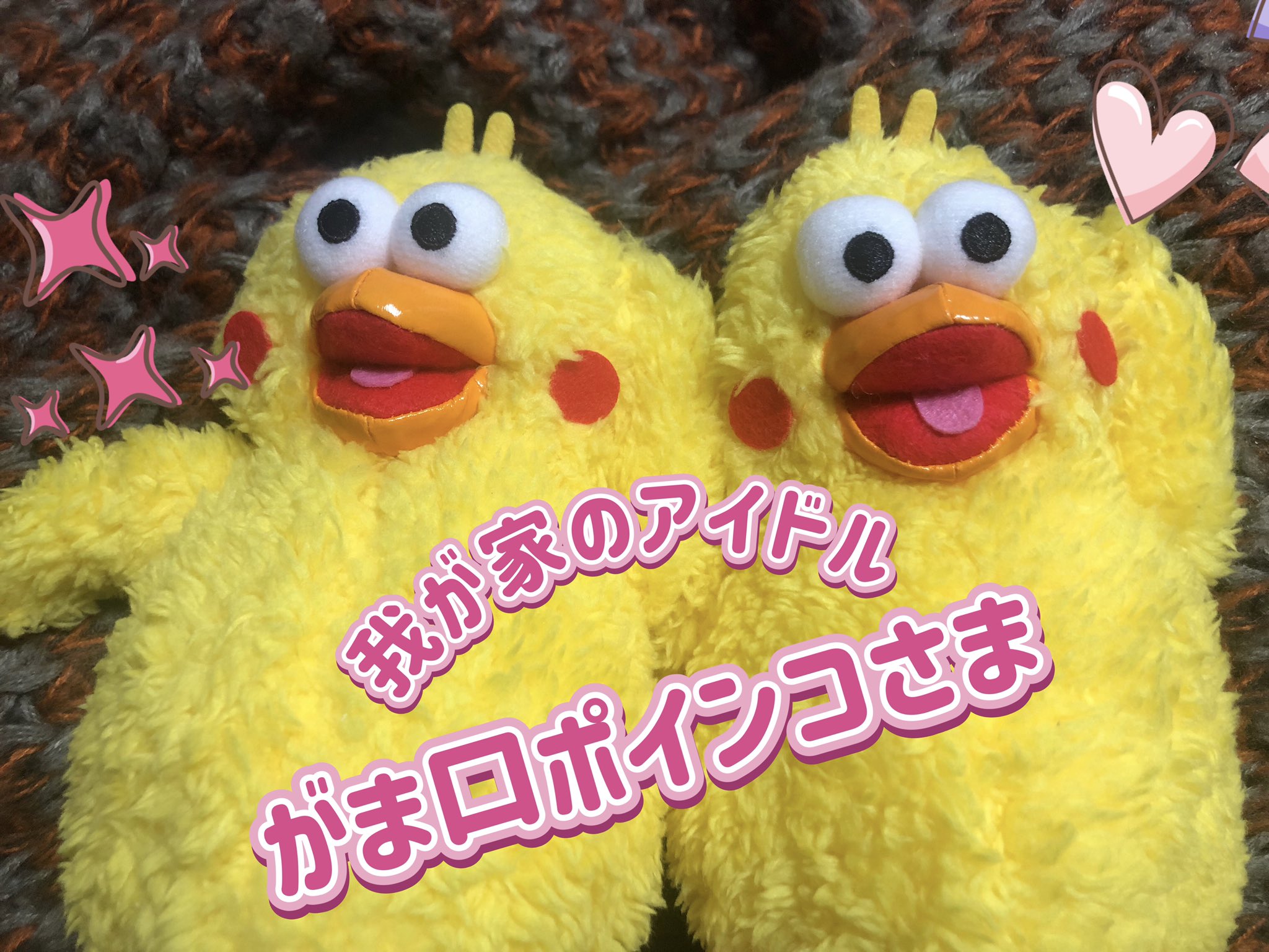 ポインコLove (@poincolove) / X