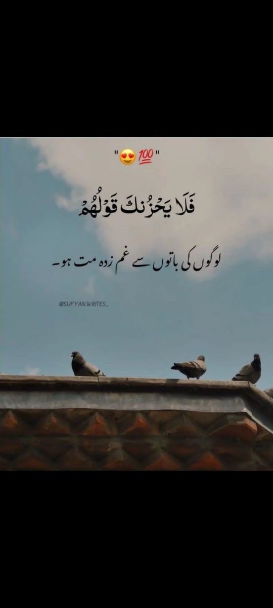 dmsa786's tweet image. ✨Follow for 1000 % follow back✨