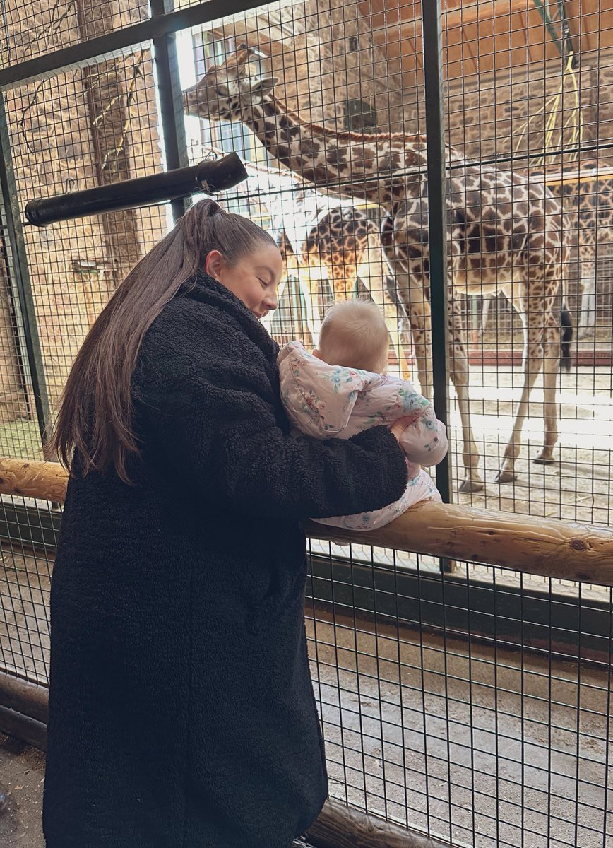 Celebrating Esther’s 1st birthday at @chesterzoo and today we’ve signed up to become members too! Meaning more visits for our little explorer 🦁🐘🎂🥳