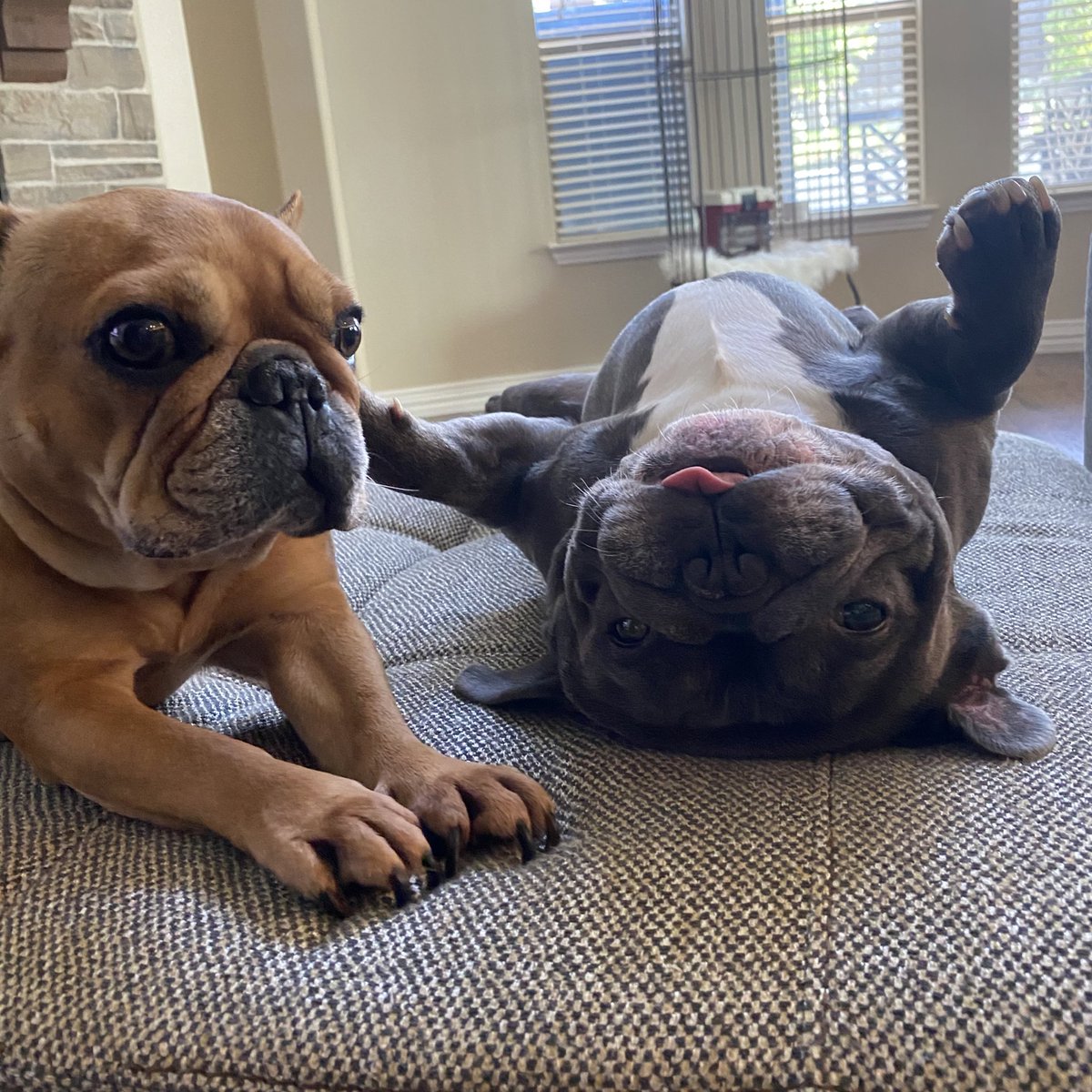 Castro1021 tweet media