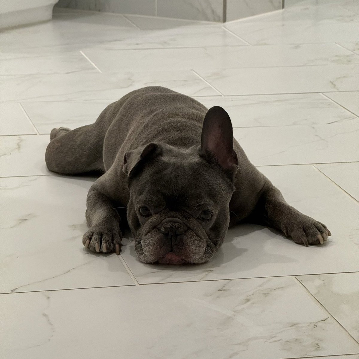 Castro1021 tweet media