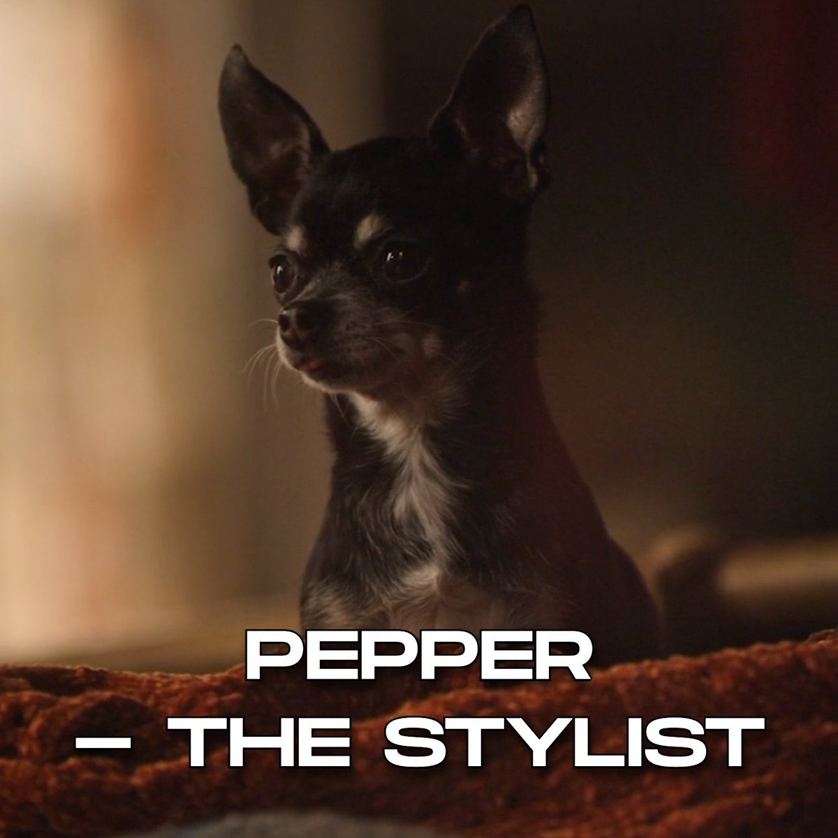 Happy national puppy day! Watch my baby girl Pepper in <a href="/TheStylistFilm/">The Stylist</a>!