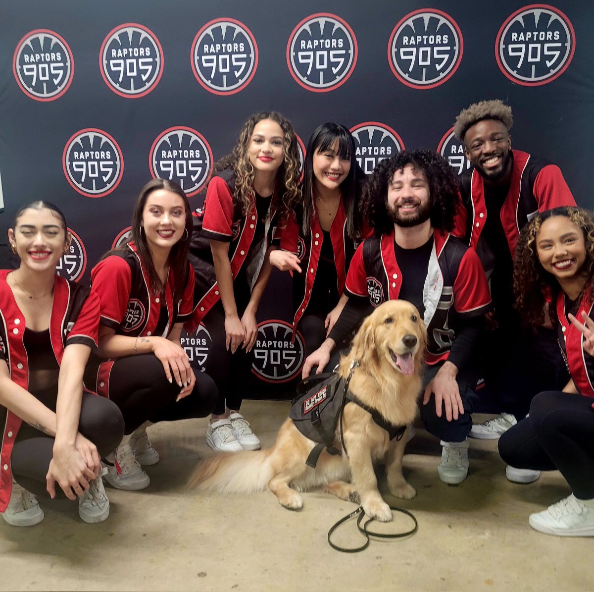 PTSD Service Dog tweet media