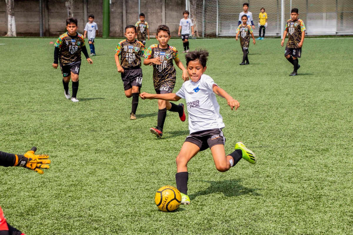 FESAELSALVADOR's tweet photo. ¡Hoy iniciamos, por 3er año consecutivo la #CopaFESA! ⚽️
Donde participarán: Academia BP, Gambeta FC, Highlands Internacional School, Academia Turín FC, Real Estudiantes y Academia Británica Cuscatleca, en las categorías U9, U11, U13 y U15 👏🏻 https://t.co/C2PoRcNPYl
