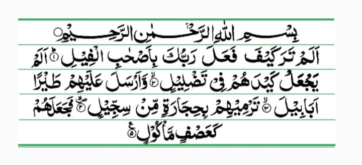 Laiba Palestine 🇵🇸 tweet media