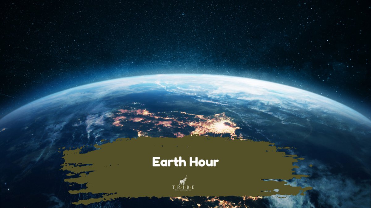 TribeComAFT's tweet photo. 🌍✨ Join us in making a difference during Earth Hour! ✨🌍

This Earth Hour, let's unite in turning off our lights for one hour to shine a light on climate action and our planet's health.
#EarthHour #LightsOff #ClimateAction https://t.co/Awgmk268v1