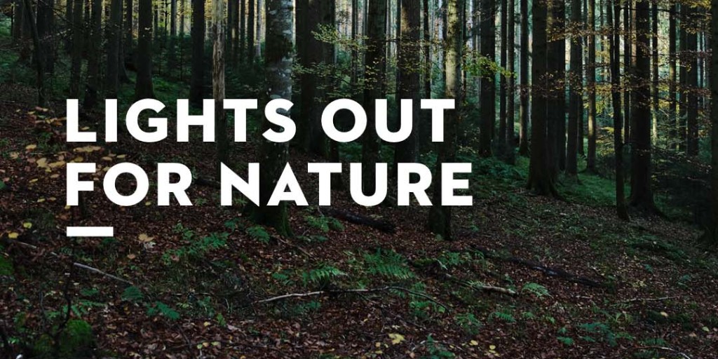 ⏰ It's Global Earth Hour Day. ⏰ 

Are you participating?  Turn your lights off from 8:30 to 9:30 this evening. 

💡 Did you know that if only 40 million people turn off their lights for 5 minutes, around 343 tons of CO2 can be saved?

#STIHL #EarthHourDay #sustainabilty