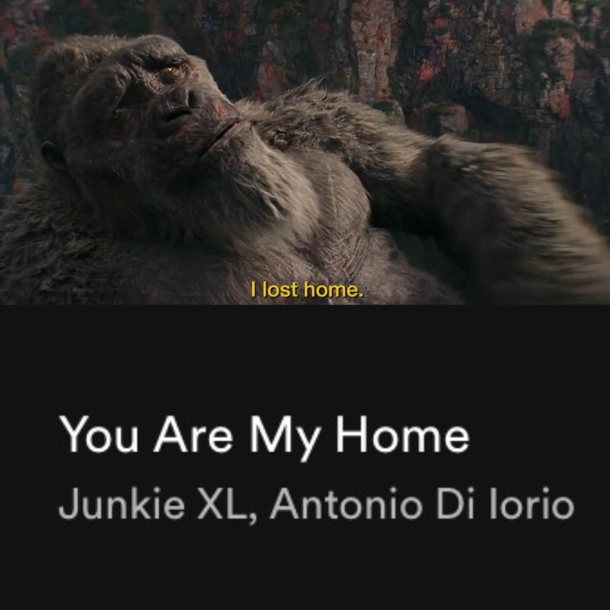 Kong is finally gonna find his home by the end of Godzilla x Kong 😭😭 IM  CRYING #GodzillaXKongTheNewEmpire