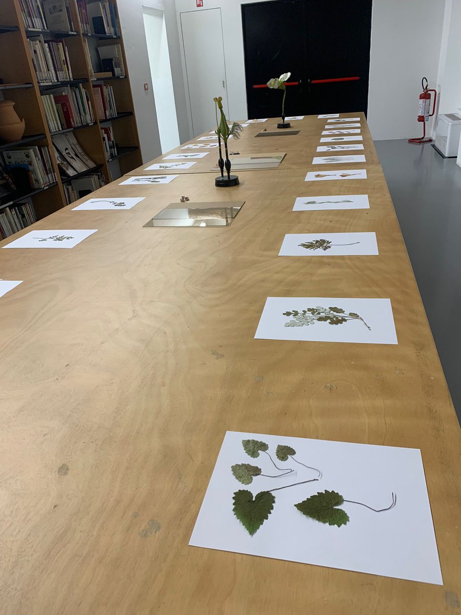 DESU UNIMORE Educazione e Scienze Umane tweet media