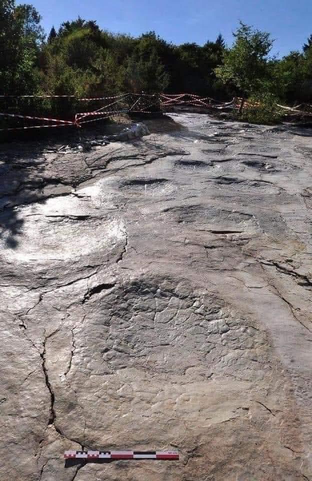 InformaCosmos's tweet photo. No son simples hundimientos, se trata de huellas de dinosaurios de 150 millones de años encontradas en Francia. 📸 https://t.co/FkWWUFZpDy