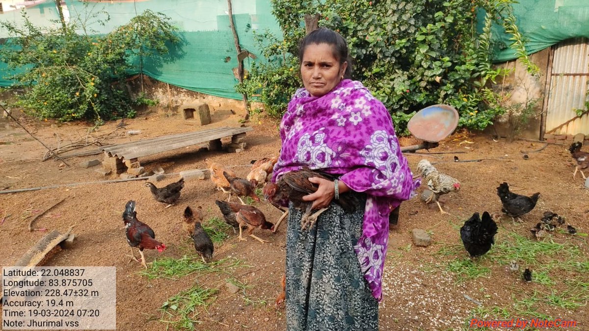 JhurimalG7500's tweet image. Kalpana Patel of Jhurimal VSS, Sundargarh Forest Division, skillfully maintained a DESI poultry farm with Revolving Fund support of OFSDP-II, earning Rs. 1.42 lakhs in one year, finding a sustainable livelihood. #ofsdp #forest #livelihood