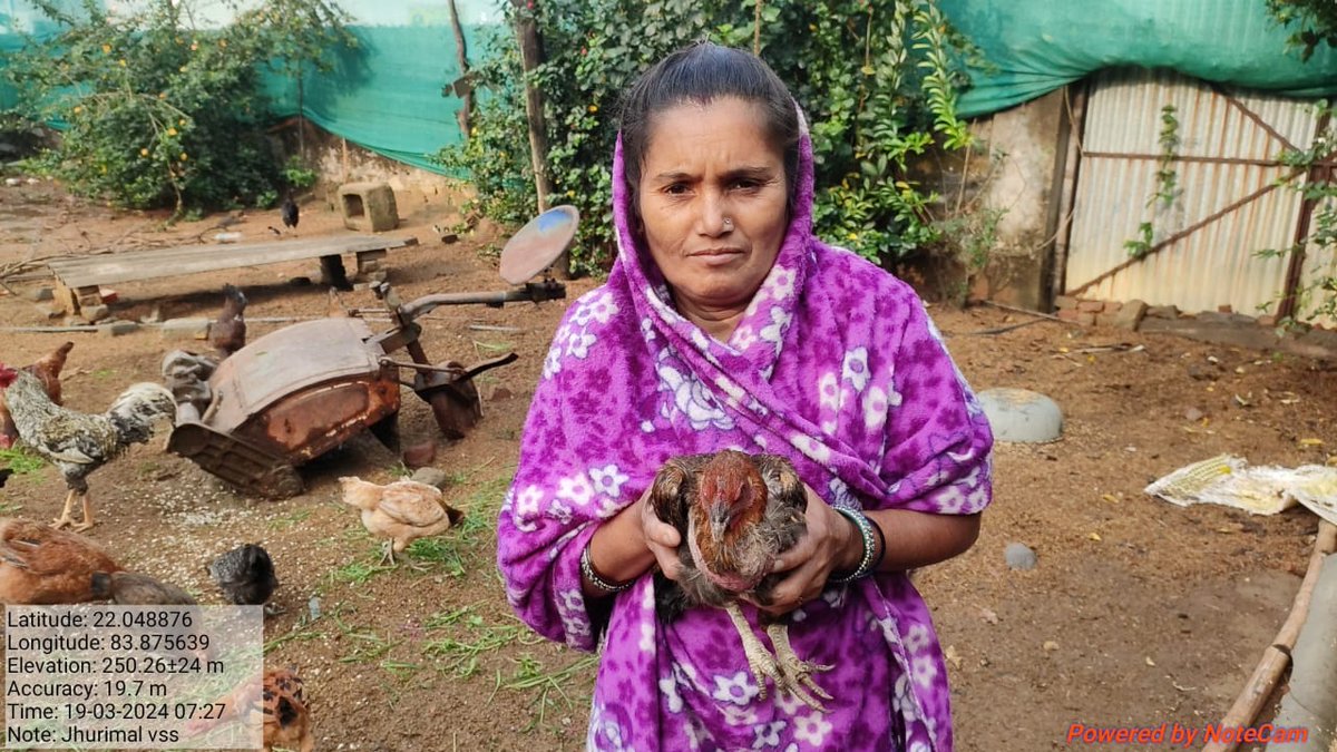 JhurimalG7500's tweet image. Kalpana Patel of Jhurimal VSS, Sundargarh Forest Division, skillfully maintained a DESI poultry farm with Revolving Fund support of OFSDP-II, earning Rs. 1.42 lakhs in one year, finding a sustainable livelihood. #ofsdp #forest #livelihood