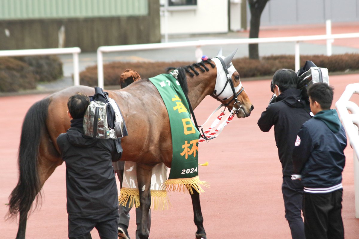 メイショウタバル lang:ja since:2024-03-23_00:00:00_JST until:2024