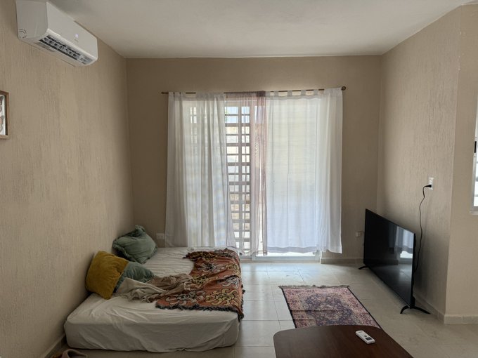 This week in life 👩🏼&zwj;🎨🐈🍩 Lots of painting, vet visits, and buying furniture. https://t.co/vCMwgqZiD7