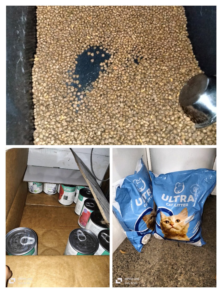 Gray And Siblings tweet media