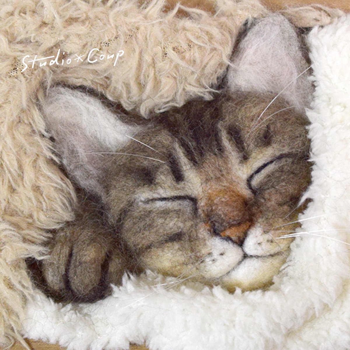studio_coup's tweet photo. タオルに包まれて寝る
キジトラ猫さんを
作ってみました🐱
https://t.co/pgZiTo4ABV
#羊毛フェルト #ニードルフェルト #handcraft #キジトラ猫 #felt #feltingneedle #felting #子猫 #ねこ #額縁アート #catsofinstagram #meoued #dailykitten #catstagram #cat #catractive #タオルに包まれた猫 https://t.co/GPgqpdrPbc