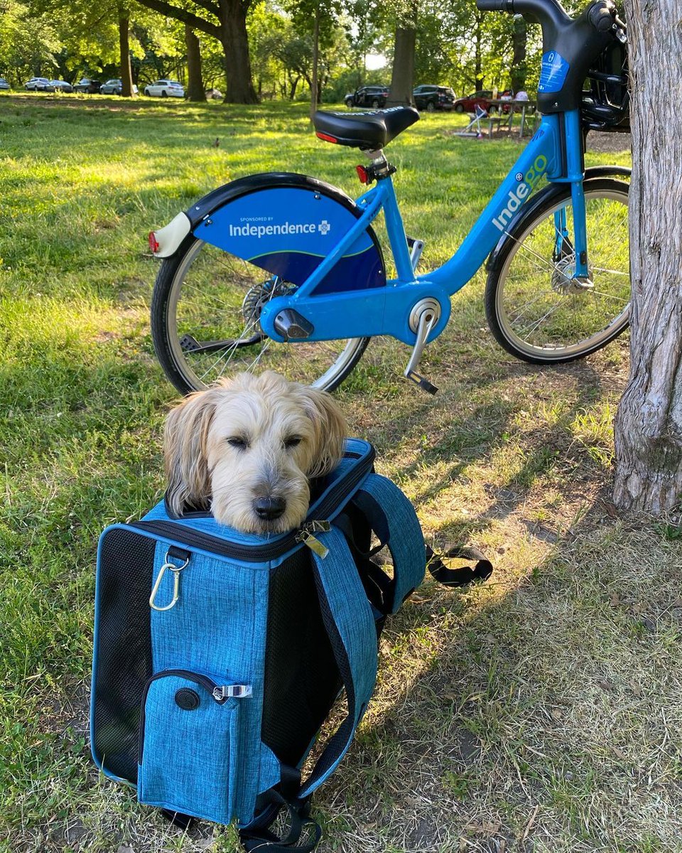 RideIndego tweet picture