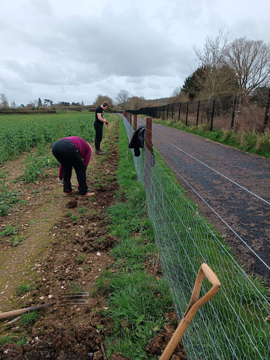 Helpers wanted For Hedgerow planting! Sign up for sessions in #GreatMissenden Tues 26/03 & Sat 06/04 eventbrite.co.uk/e/creating-hed… @ChilternsCCC @CostaCoffeeGM @greatmissschool @WendoverRotary @wendover_news @ChilternSociety @BucksCouncil @SustransSouth @_BNUni @wycombefoe